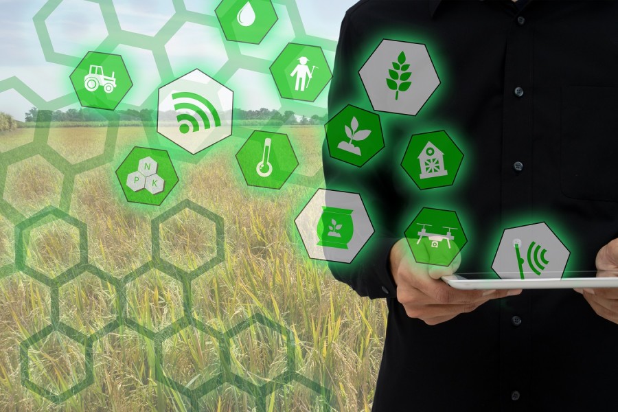 Innovation in der Landwirtschaft - Wie soll die Landwirtschaft in Zukunft aussehen?