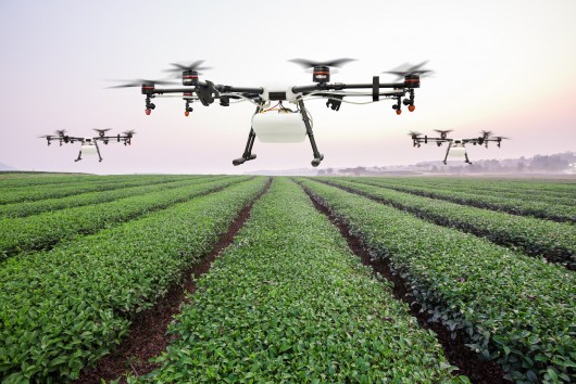 Science in the future of agriculture: Can innovation double food production - and improve sustainability?