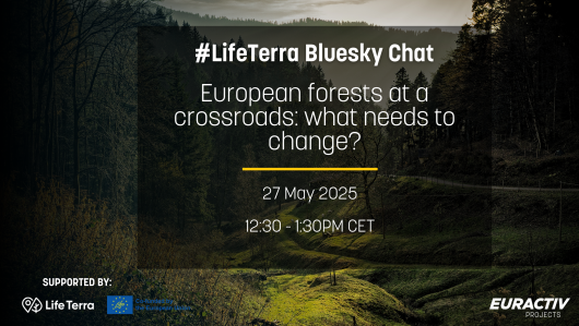 #LifeTerra Bluesky Chat: European forests at a crossroads - what needs to change?