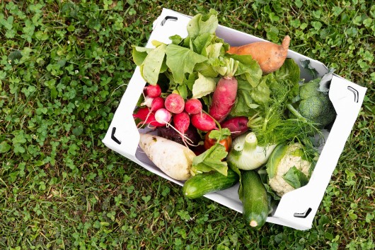 CAP and the food supply chain: A fair deal for farmers and consumers