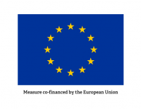 Co-financed by the EU1