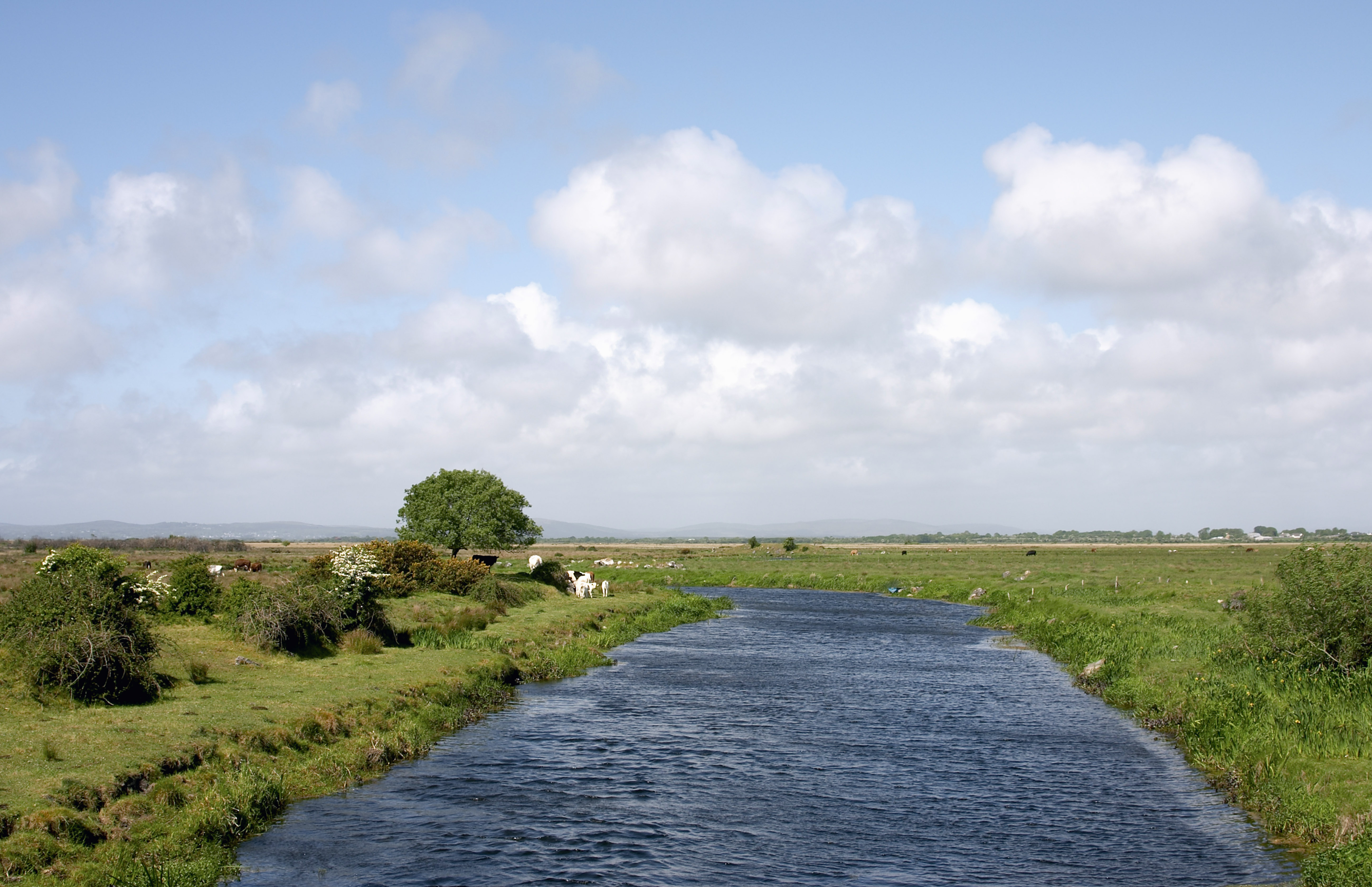 Making the world water-resilient – What are the right steps?
