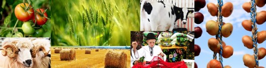 Developing our rural areas through the CAP: International conference on funding opportunities  for agriculture and rural develop