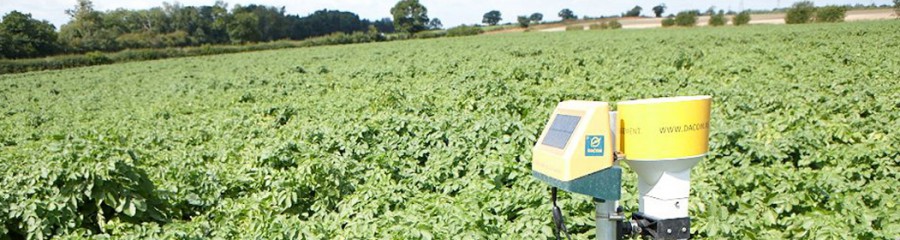 How can innovation help agriculture be more sustainable?