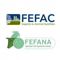 Fefac and Fefana