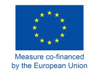 DG REGIO Cohesion