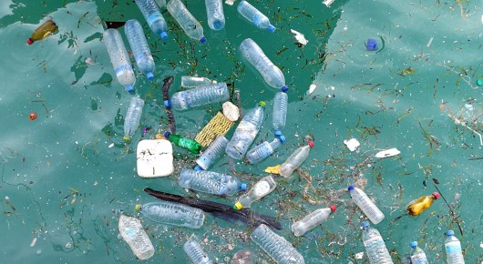 How to reduce the impact of plastic products on the marine environment? 