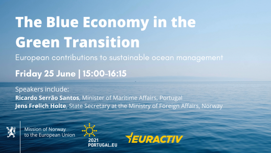Media Partnership: The Blue Economy in the Green Transition – European contributions to sustainable ocean management