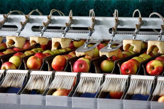 Sustainable Food Systems: Does the EU ‘Farm to Fork’ strategy have all the answers?