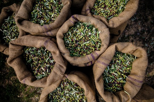 The Business End of Farm to Fork:  How can companies help deliver truly sustainable food systems?