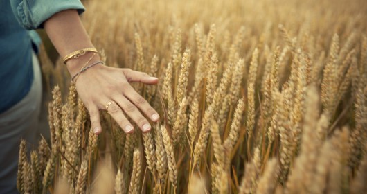 Empowering consumers for a successful green transition 