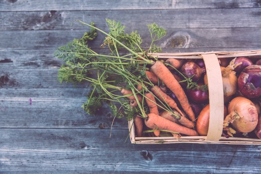 Food security & Climate change post-COVID - Improving the sustainability of EU agriculture 