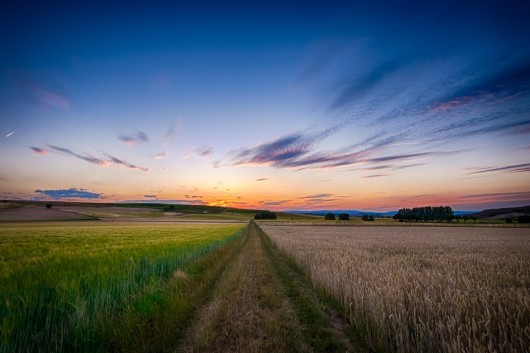 Financing EU agriculture  after 2020: What future for the CAP?