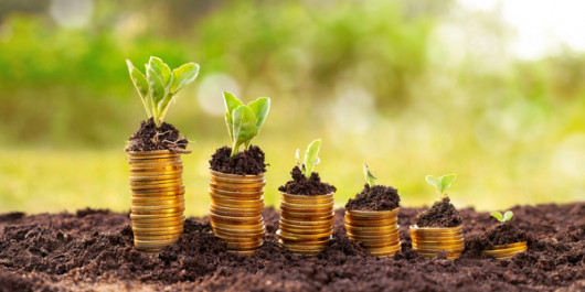Comment améliorer l'accès des agriculteurs aux financements ?