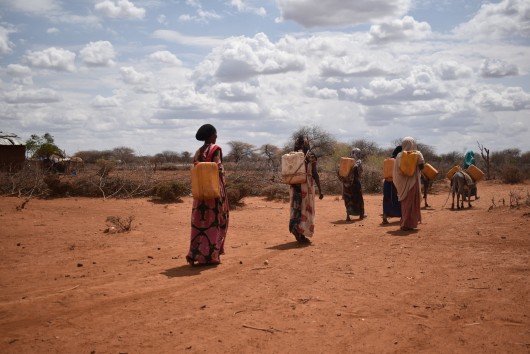 East Africa food crisis - Breaking the cycle of drought, hunger and famine 