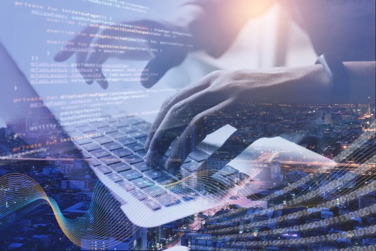 Digitalisation in times of COVID – Impacts on operations, business models and employees