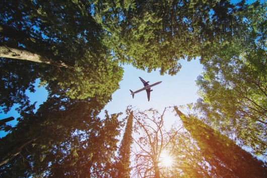 Refueling aviation: The role and types of sustainable aviation fuels