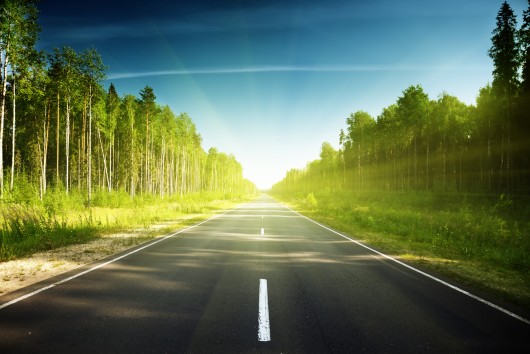 The transition to sustainable and smart mobility: How do we get there?