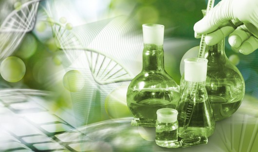 Chemistry - Can it serve as a catalyst for a green and circular rebound?