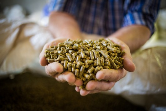 Farm to Fork and feed additives: What lies ahead?