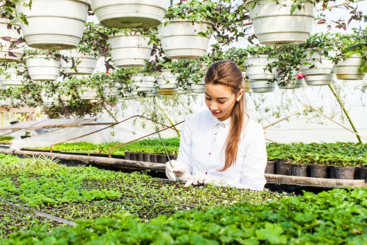Auf dem Weg zur modernen Landwirtschaft: Balance zwischen Biodiversität, Innovation und Erträgen