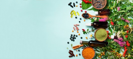 The role of food supplements in improving health in the EU