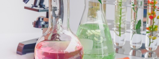 Quelles innovations pour assurer  la sécurité alimentaire pour tous ?