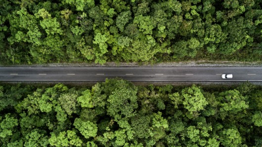 Driving the Green Deal: How can biofuels help decarbonise EU transport?