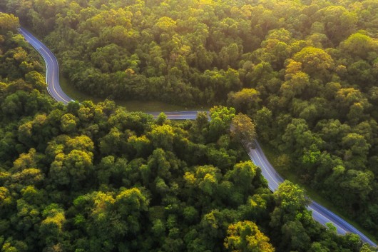 Battery-powered future: How can the EU ensure electric vehicles drive the green transport revolution? 