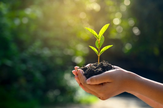 Towards a sustainable future - What is the potential of the EU’s bioeconomy?