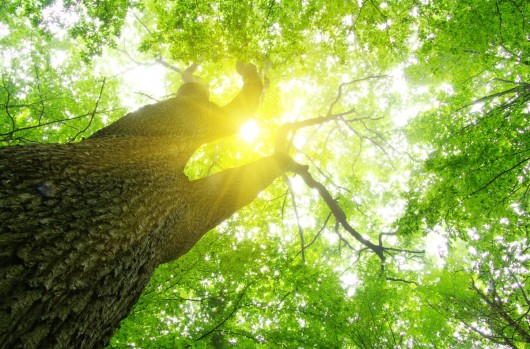 Meeting the new 2030 emissions targets: how do we get there?