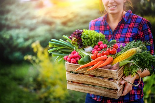 Farm to Fork Strategy – What are the policy instruments needed to reach the targets?