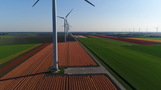 EU 2050 climate targets:  Are they feasible and can they be achieved without stunting economic growth?
