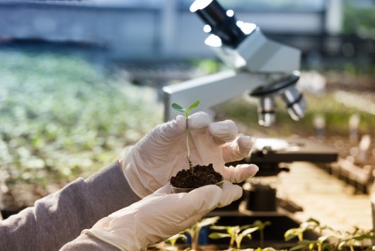 Delivering on the EU Green Deal: What role for innovation and disruptive technologies in agriculture?
