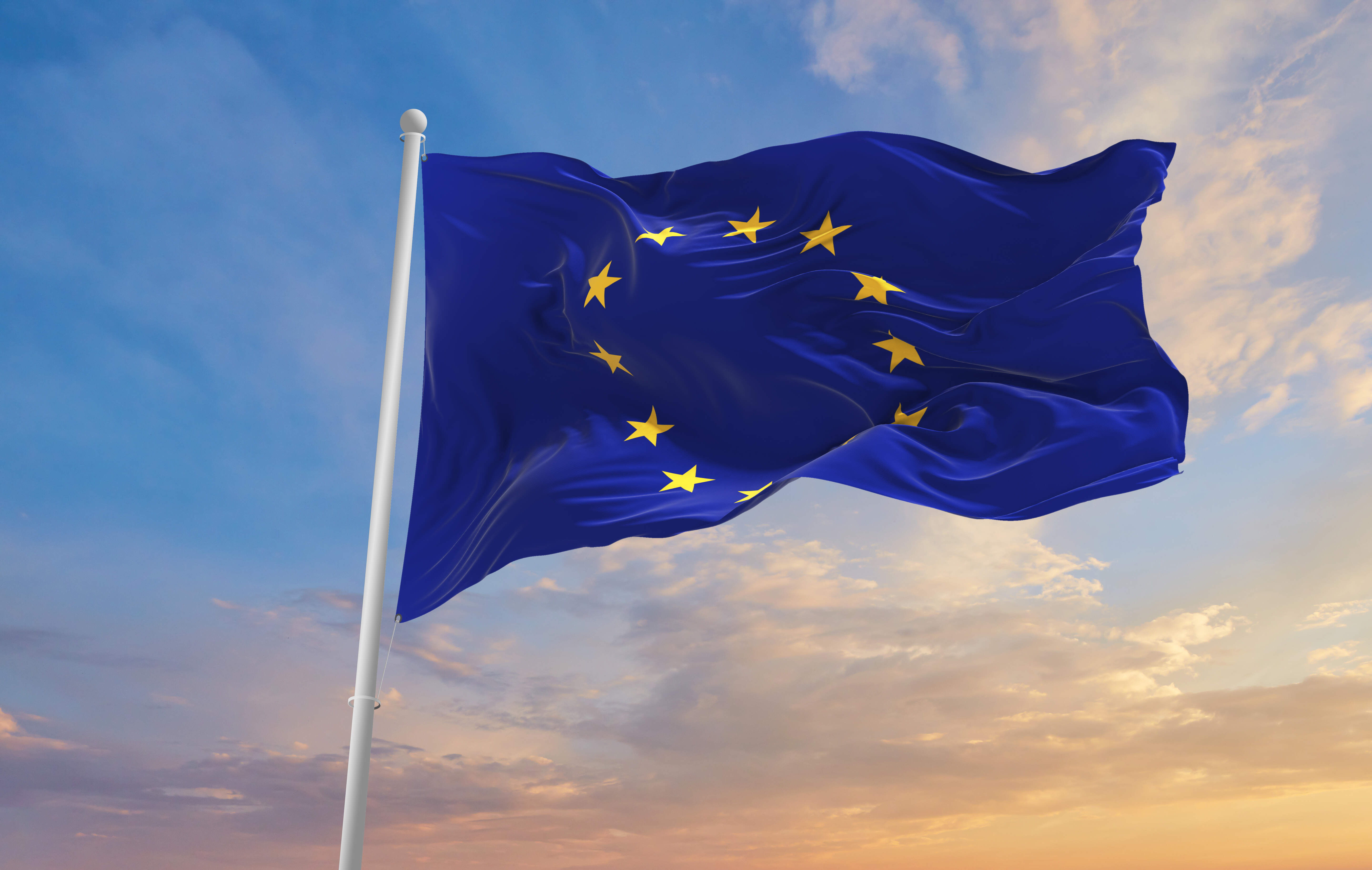 Euractiv Advocacy Debate: European Political Party Views towards the 2024-2029 EU Agenda