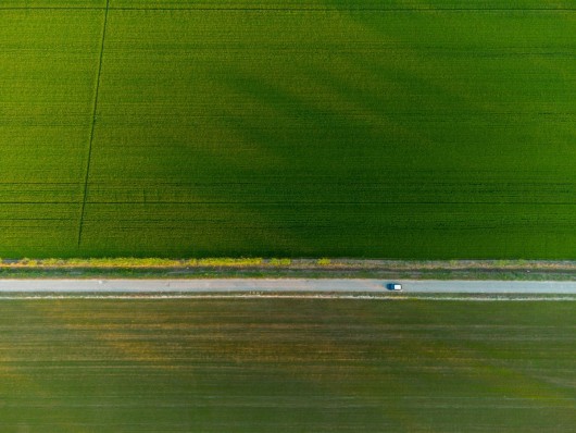 Making better use of biofuels: How can the EU ensure policy consistency?