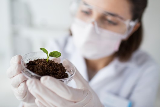 New genomic techniques - What lies ahead?