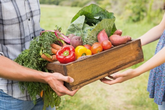 Farm To Fork - Can it lead to a 'gold-standard food system' in Europe, focused on SDGs?