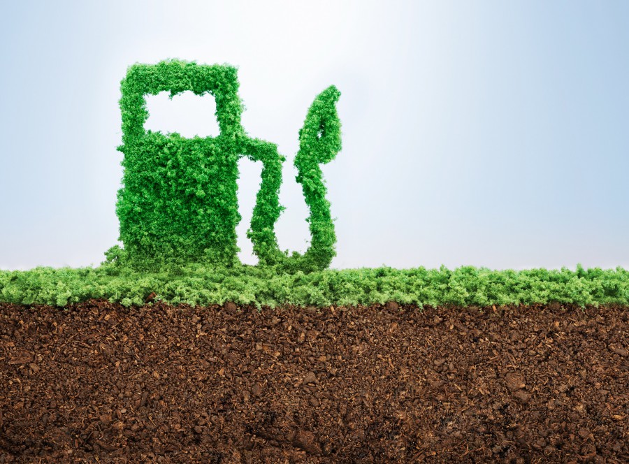 Biofuels and sustainability: Decarbonising transport and fuelling food security