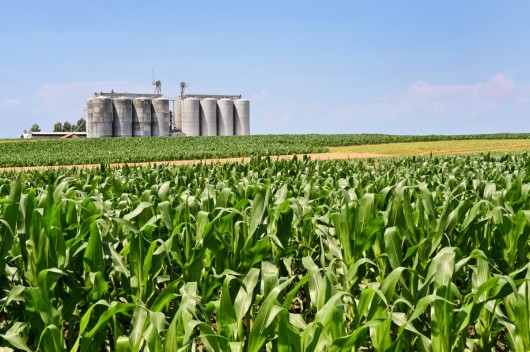Mind the Gap - Can biofuels play a strategic role in reaching EU energy and food security?