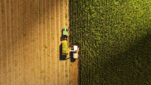 Shaping the CAP - How to ensure food security and green ambitions in times of crisis