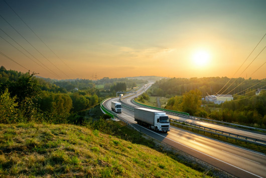 The road to decarbonisation: Long-term biofuels policy in a changing EU political landscape