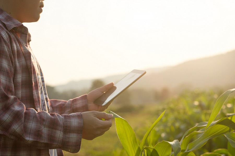 Precision farming: The silver bullet for the future  of European farming?