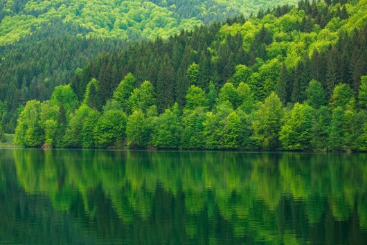 Carbon removal strategy – Is it needed and will it make a difference? 
