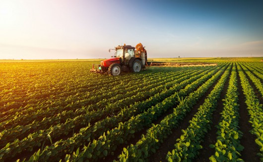 Digital Farming: Driving productivity and a more sustainable way of farming