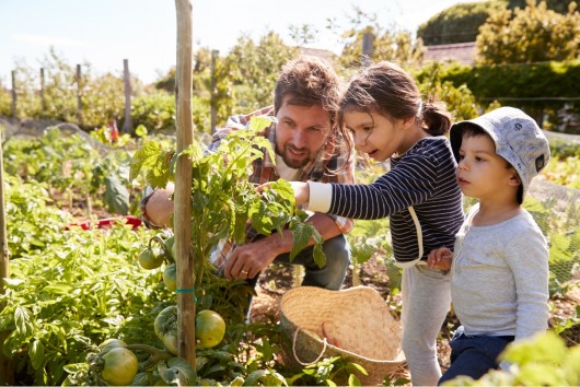 The European Food System: The transition towards sustainability and climate mitigation