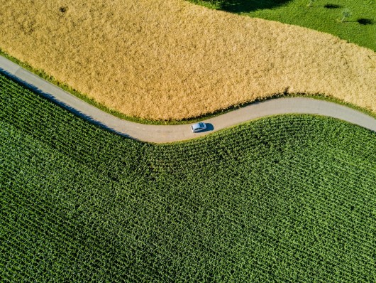 Fit for purpose?  The role of renewable fuels on the road to 2030 and beyond