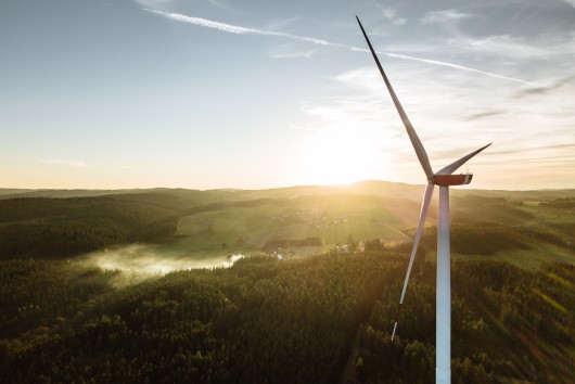 European Climate Law: How to reach climate neutrality? 