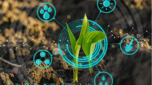 Modernisation de l'agriculture. Quel équilibre entre innovation et sécurité alimentaire ?