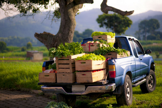 How to secure agri-food supply chains post-Brexit and at what price?